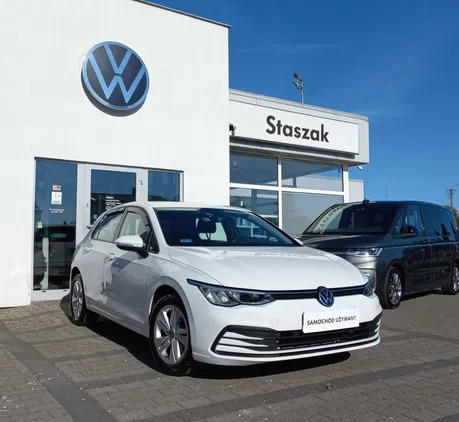 wielkopolskie Volkswagen Golf cena 79900 przebieg: 16250, rok produkcji 2020 z Szprotawa